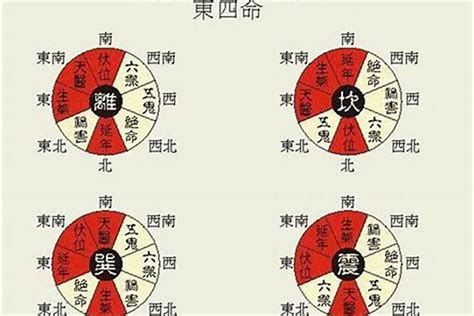 宅命|八宅派風水 東西四命如何算？ 